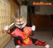 funny-ninja-cat